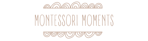 Montessori Moments